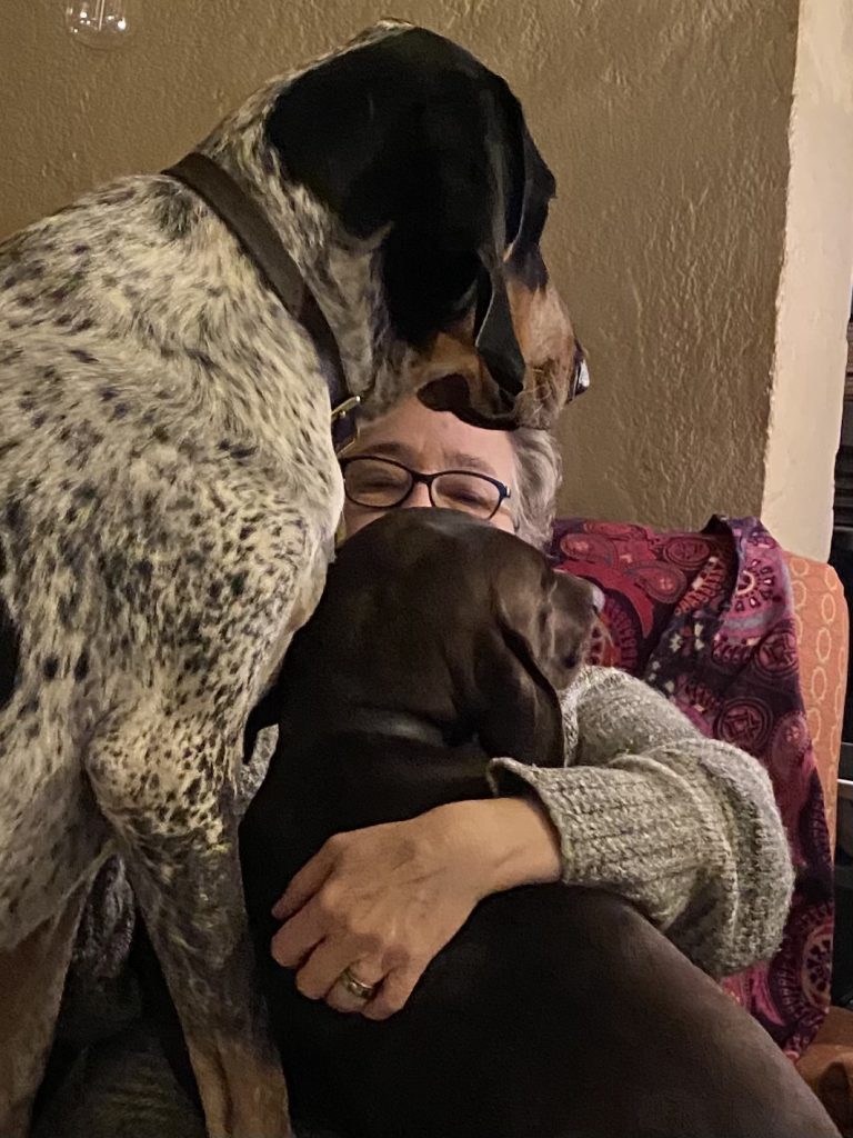 two large dogs in a womans lap